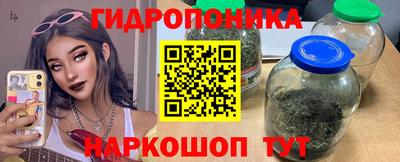 шишки Волжский