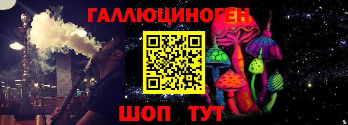 Псилоцибиновые грибы Psilocybe Назрань