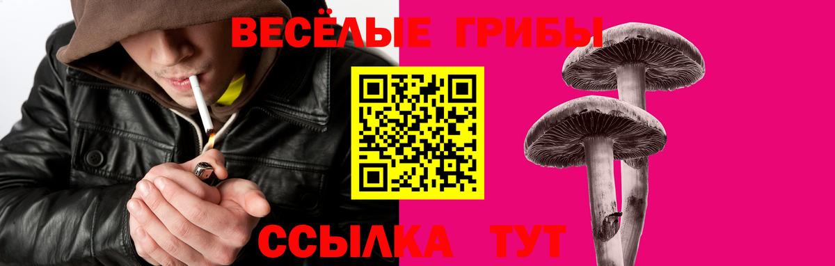 Галлюциногенные грибы прущие грибы  Вход с VPN  Назрань 